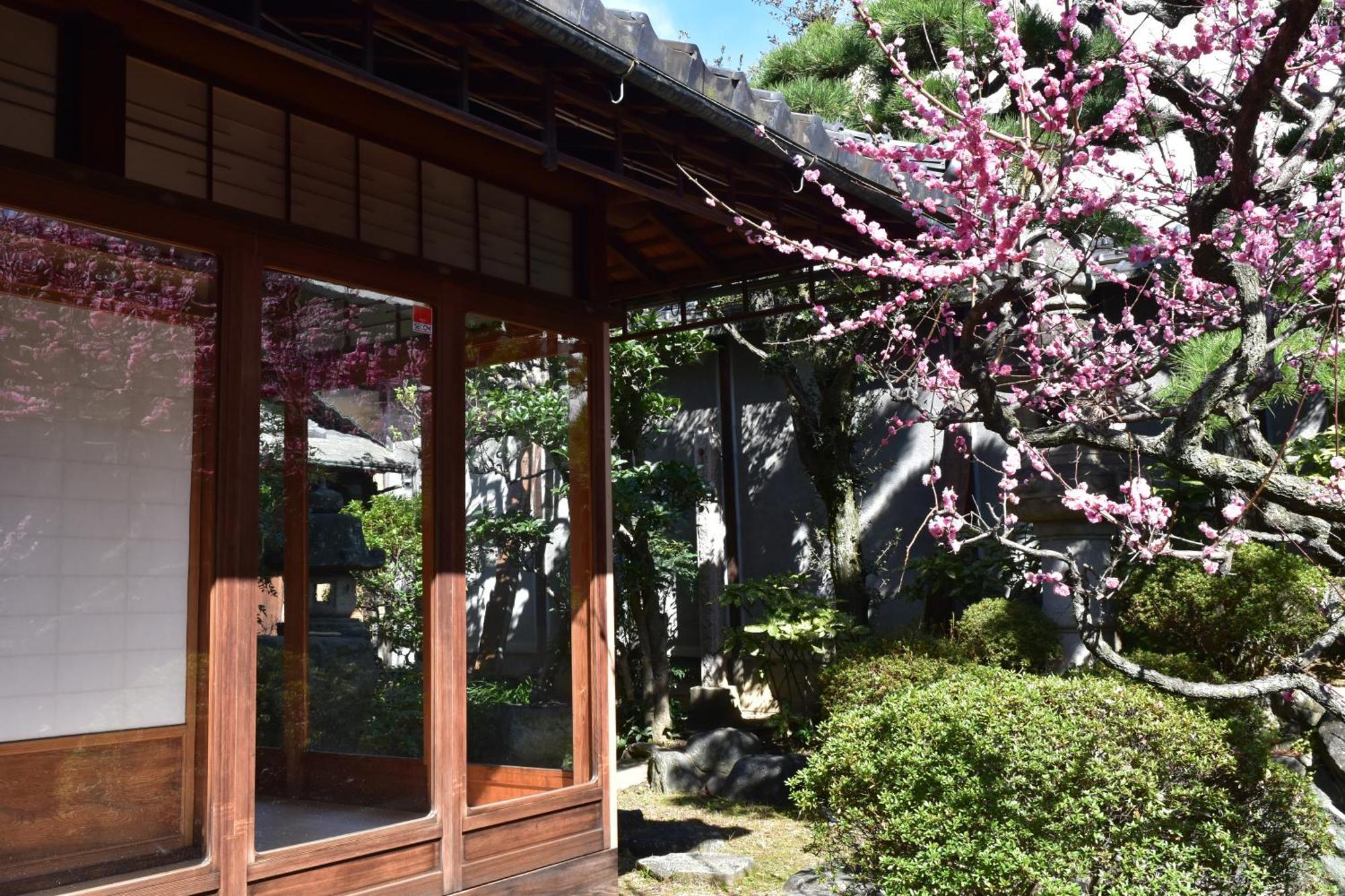 蔵の宿　櫻林亭 Sakurai Esterno foto